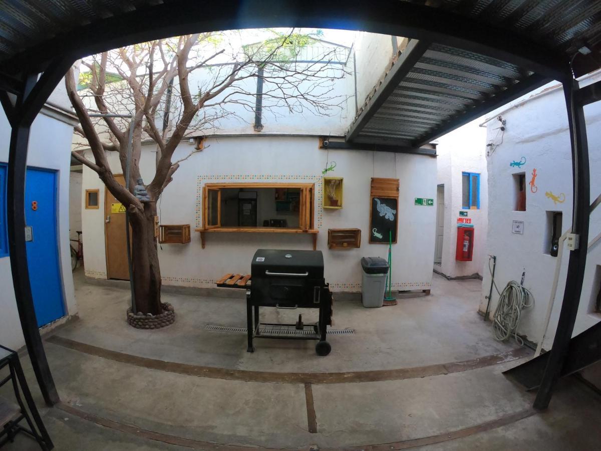 Rey Lagarto Hostel サン・ペドロ・デ・アタカマ エクステリア 写真